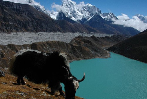 Stunning Gokyo Lake