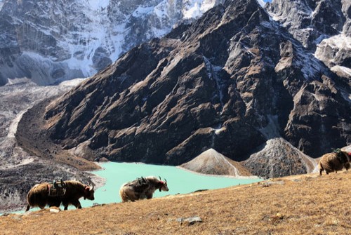 Breathtaking View of Gokyo Lake