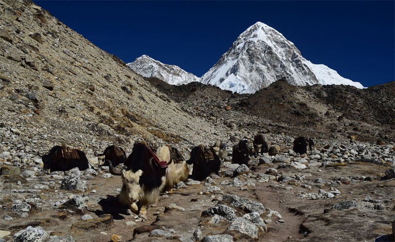 Mt.Pumori Standing behind the Kalapatthar