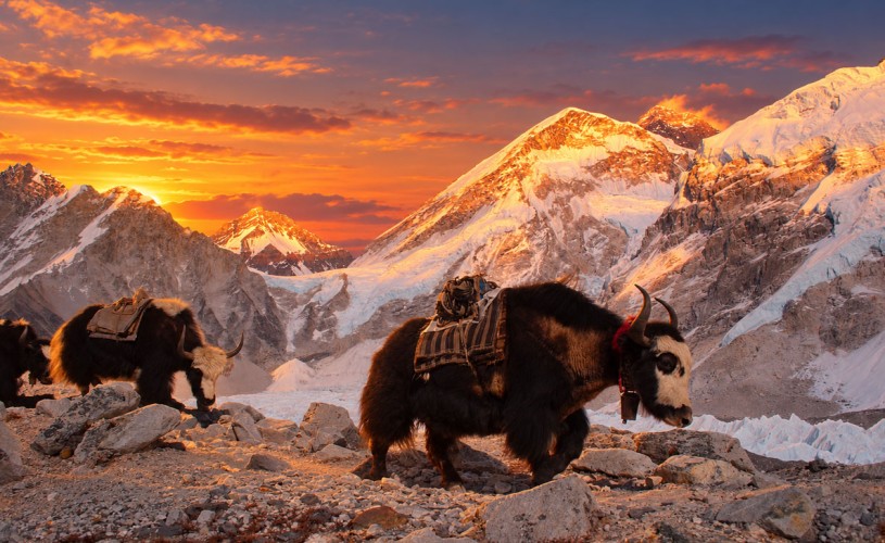 Sunset View of Mount Everest