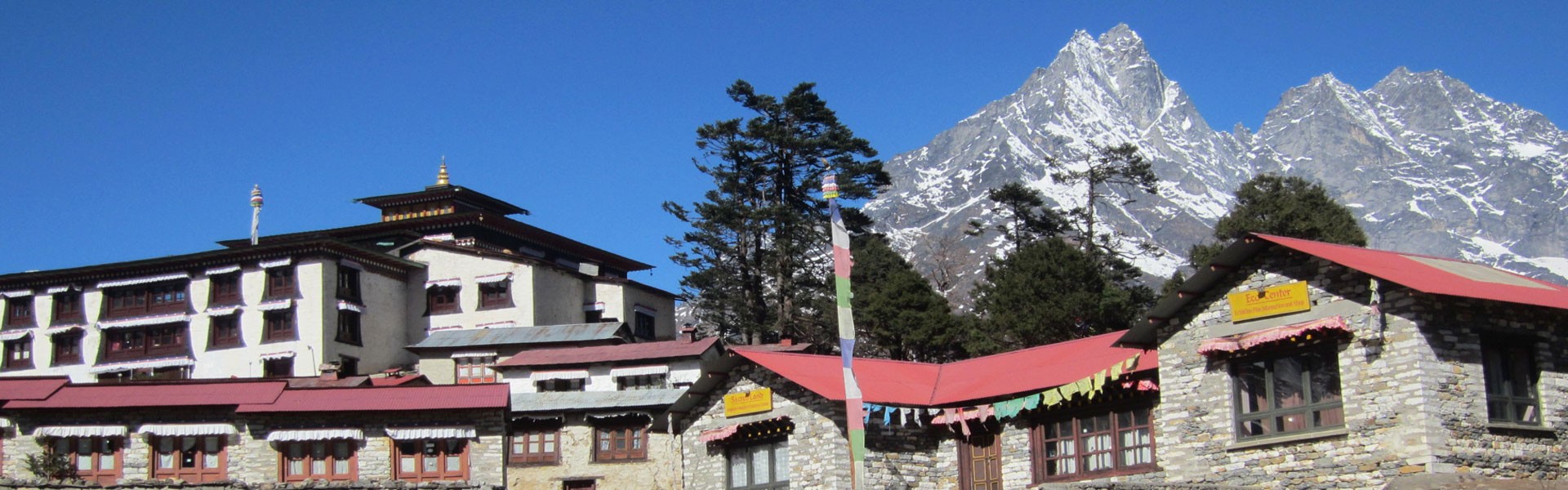 Excellent View of Himalayas