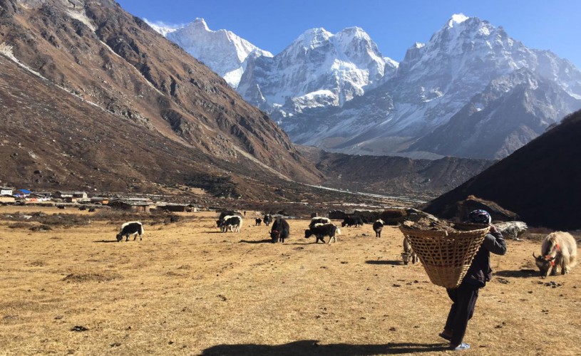 Kanchenjunga South Base Camp