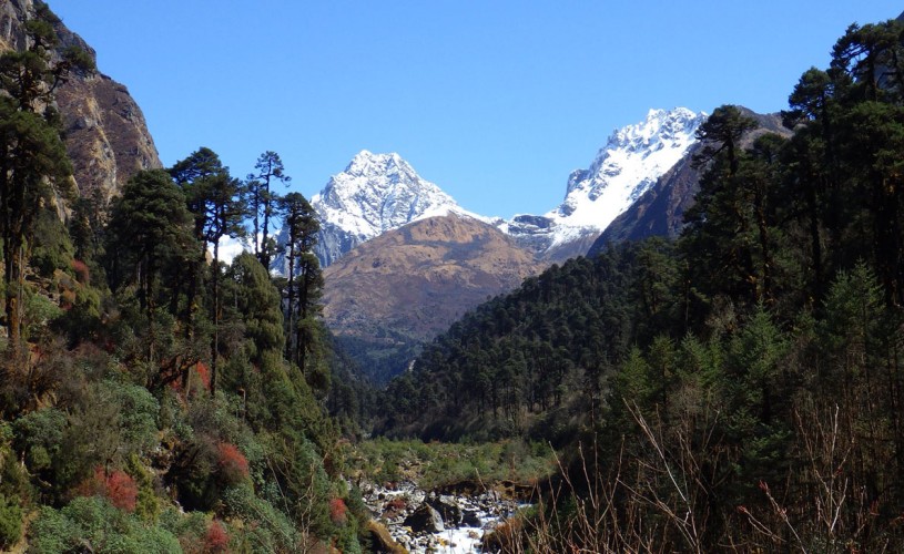 Lower part of Kanchenjunga Trek