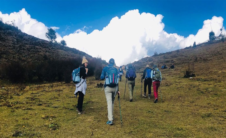 Laya Gasa Trek Package Cost Itinerary, and Price and Best Time 2023/2024