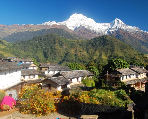 Abc Gandrung Village