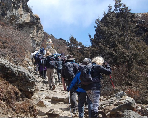 Namche Everest View Trekking