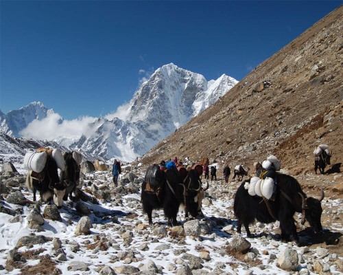 Short Trek to Everest Base Camp Cost, itinerary, Best Time 2023/2024