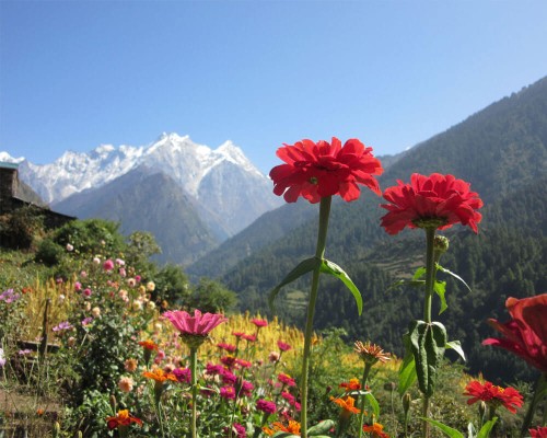 View Of Ganesh Himal From Manaslu Trek