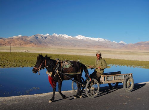 Horse Riding in Tibet